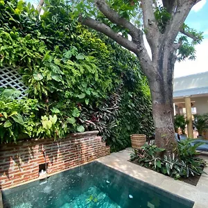 Casa Jaguar Boutique Hotel Cartagène